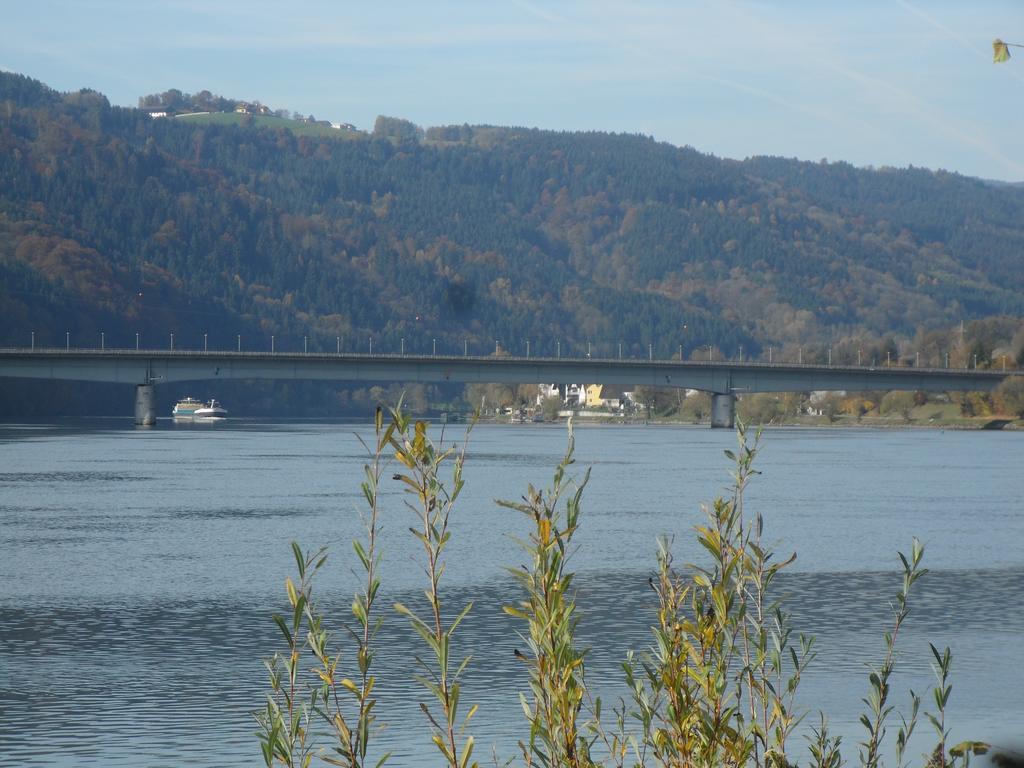 Gasthof-Pension Schuetz Wesenufer Zewnętrze zdjęcie